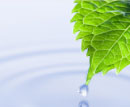Sustainability
